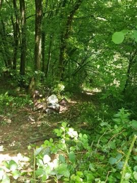 Sanacija črnega odlagališča – Banova jama 031